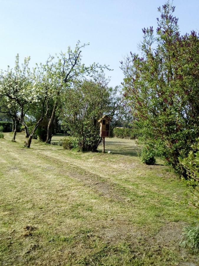 La Hulotte Au Col Haut Audrehem Exterior photo
