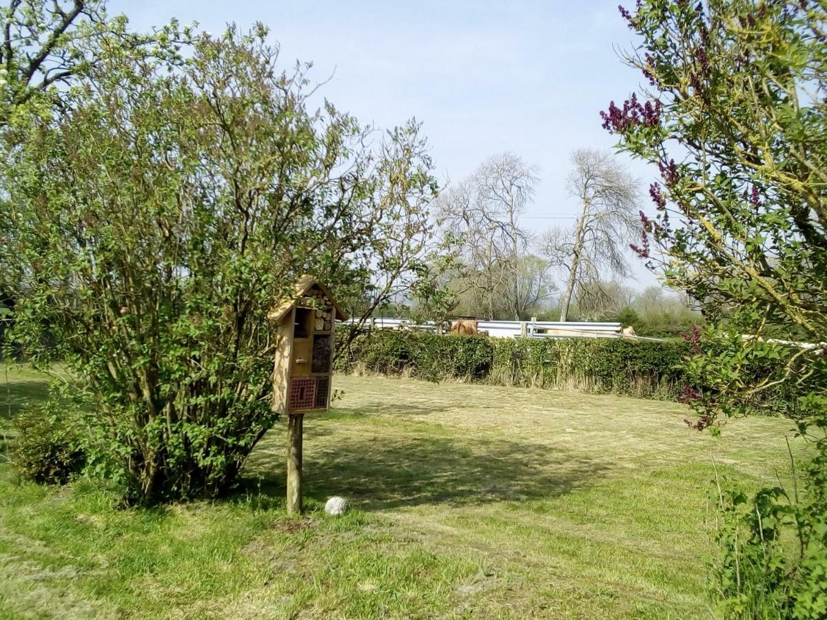 La Hulotte Au Col Haut Audrehem Exterior photo